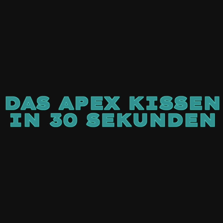 APEX Carbon Kissen